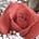 Go to the profile of Diane Fisher
