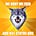 Go to the profile of Trendwolves 