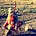 Go to the profile of Claire Maynard
