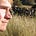 Go to the profile of Forrest Nussdorfer