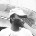 Go to the profile of Nate Mamman