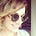 Go to the profile of Ana Kvesić