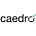 Go to the profile of CAEDRO