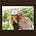 Go to the profile of Anna Heise