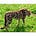 Go to the profile of Siddharth Satish