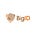 Go to the profile of BigID