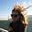 Go to the profile of Betina Evancha