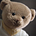 Go to the profile of hiro