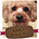 Go to the profile of LuluSmileBlog