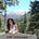 Go to the profile of Sima Lotfi