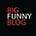 Big Funny Blog