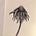 Go to the profile of Macy Rose