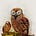 Go to the profile of the laughing owl