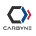 Carbyne Blog