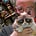 Go to the profile of Paul Alvarado-Dykstra