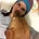 Go to the profile of Tilly Rose