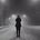 Go to the profile of Yanliang_Zhang_2677473
