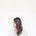 Go to the profile of Sounds like grace…