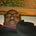 Go to the profile of Ridwan Olalere