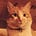 Go to the profile of Dodo C