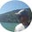 Go to the profile of Enéias