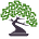 Go to the profile of Bonsai