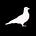 Go to the profile of Courier