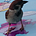 Go to the profile of Kerokeero