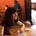 Go to the profile of Lily Carollo