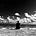 Go to the profile of Denis de Palatis