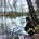 Go to the profile of Zach Brown (Reality)