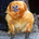 Go to the profile of Lowenaffchen