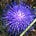 Go to the profile of Elina V.