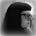 Go to the profile of Laura Nunemaker