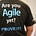 Enterprise Agility