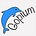 Go to the profile of C Y Gopinath