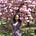 Go to the profile of Divia Padayachee