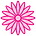 Hi. Stamen