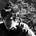 Go to the profile of Mateus Baldi