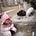 Go to the profile of Jiaxin Li Dani