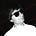 Go to the profile of Alex Matteo