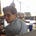 Go to the profile of Adam Elkus