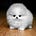 Go to the profile of andrew_wilson68