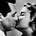 Go to the profile of Love and Fury