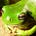 PLOS Ecology Field Reports
