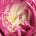 Go to the profile of Jessica Stone
