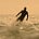 Go to the profile of J. Foster Campbell