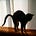Go to the profile of SexyNat
