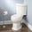 Thoughts on Toilets