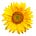 Go to the profile of Jalisa